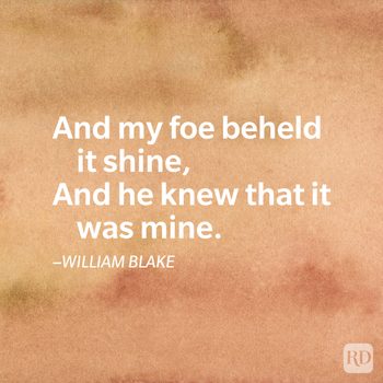 quote from a famous poem by William Blake