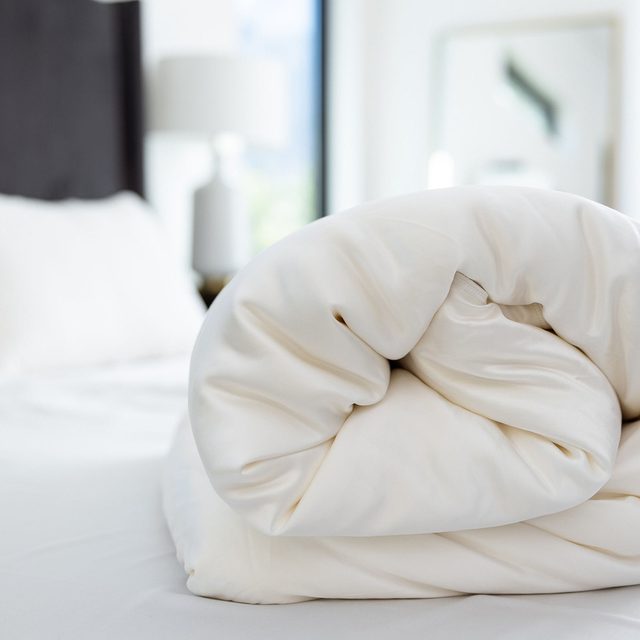 Cozy Earth Comforter