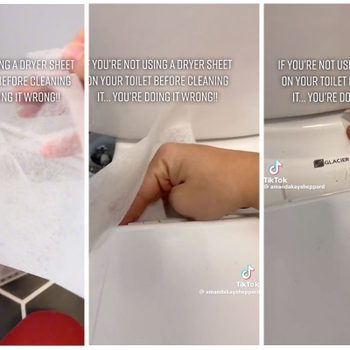 Dryer Sheet Toilet Cleaning Hack Via AmandaKaySheppard TikTok