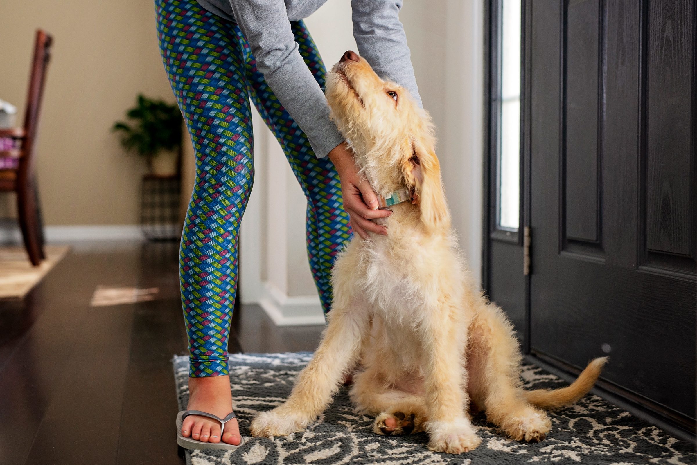 dog leaning on owner by front door