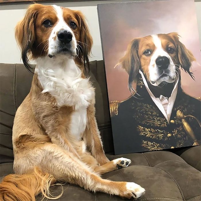 The General Custom Pet Portrait Ecomm Via Crownandpaw.com
