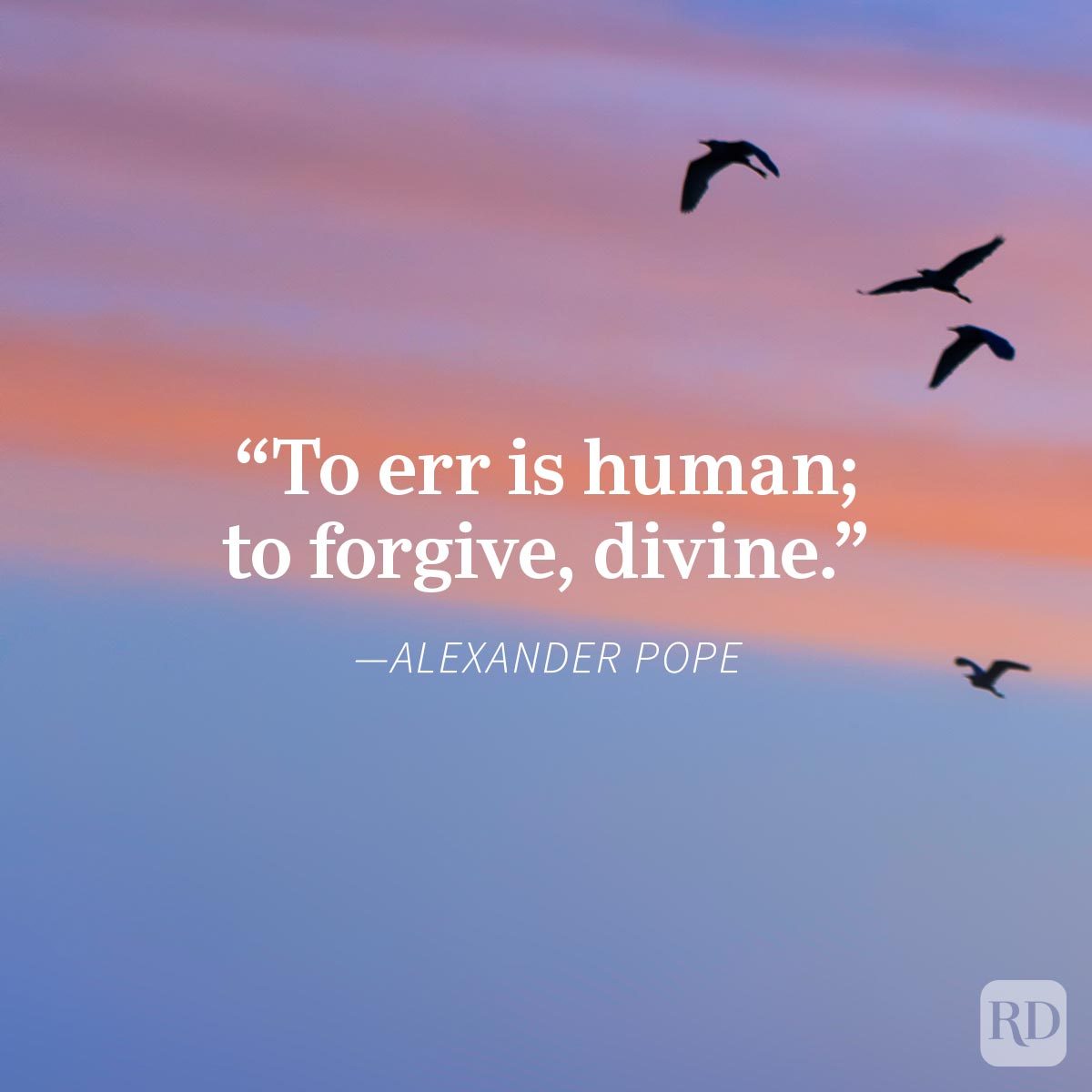 The best forgiveness quotes on a peaceful sunset background with birds flying