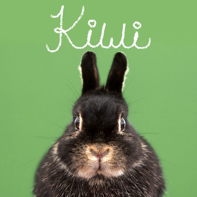 Best Pet Names 12 Food Gettyimages 452034327