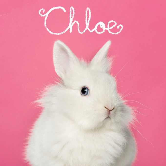 Best Pet Names 5 Girl Gettyimages 485999565