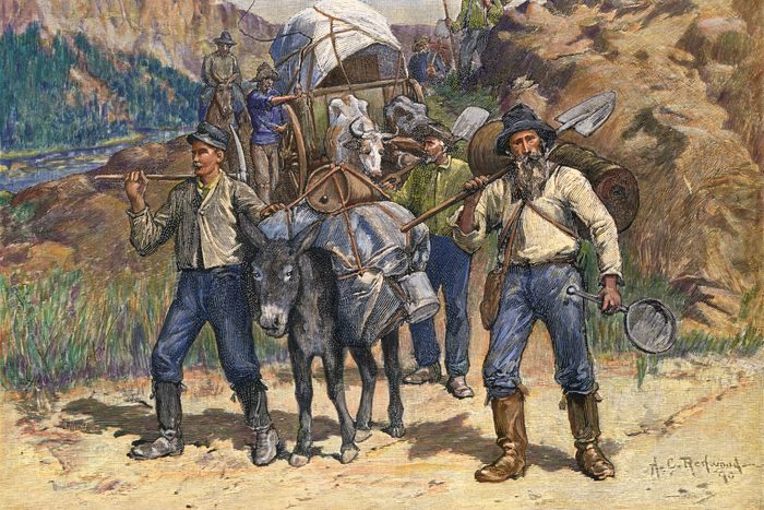 A Rush For The New Diggings