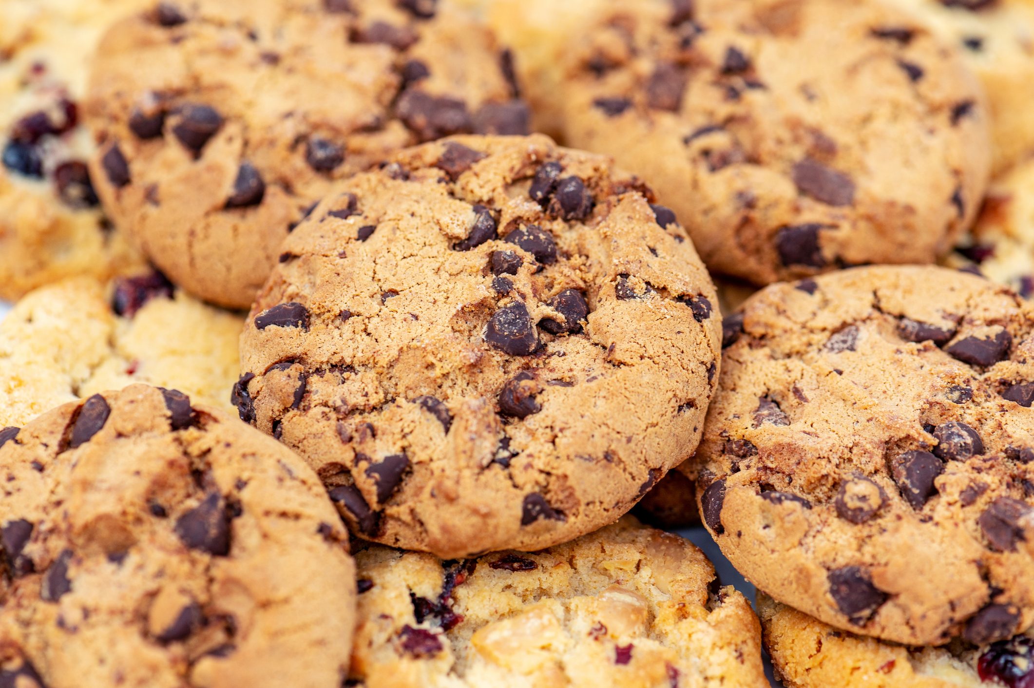 A plate of freshly baked chunky chocolate chip cookies.