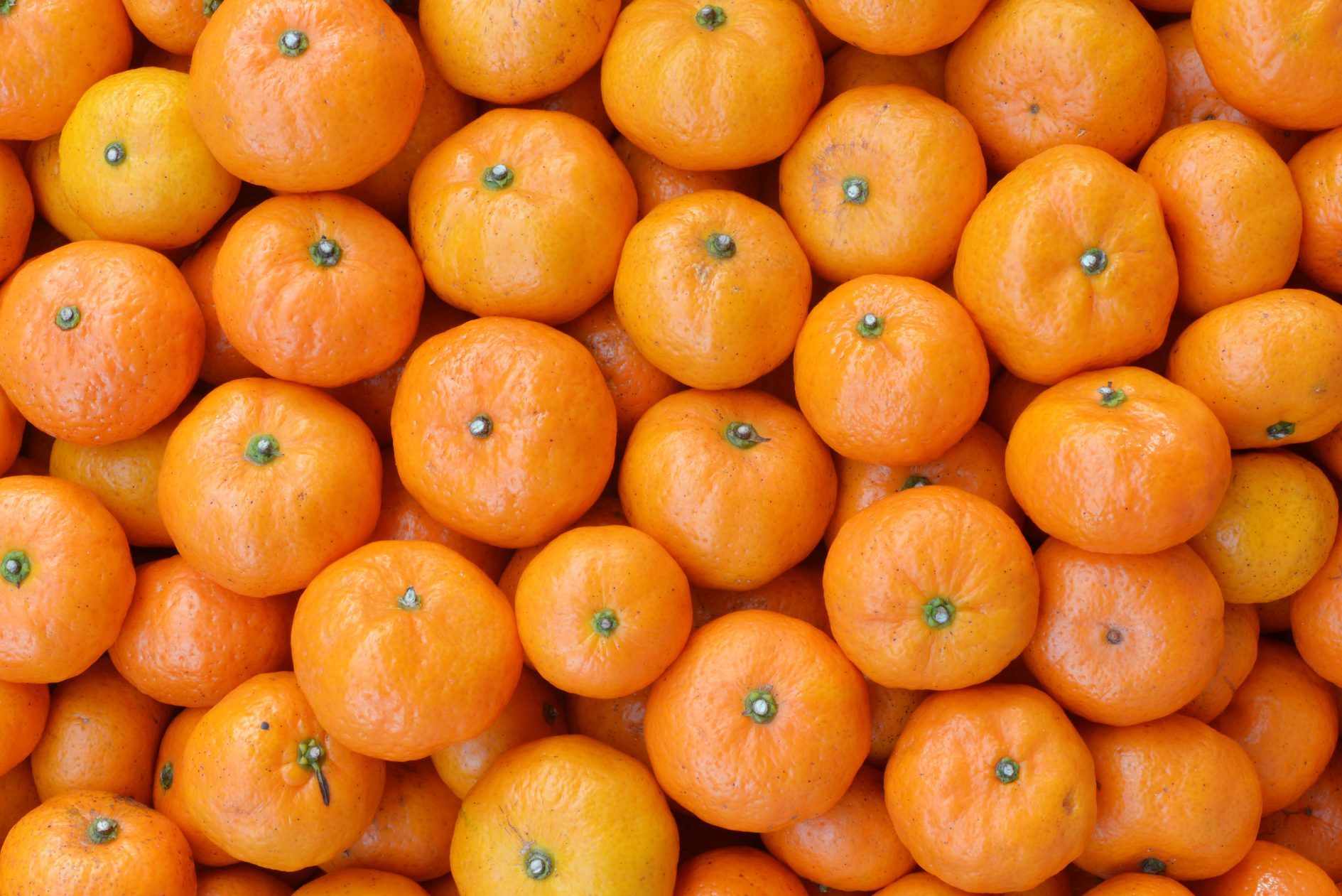 Full frame shot of oranges for sale at market