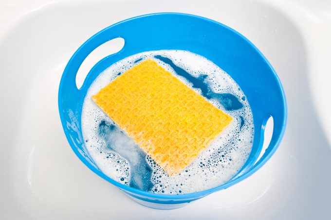 Sponge in a bucket