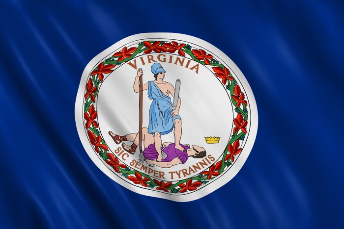 flag of virginia