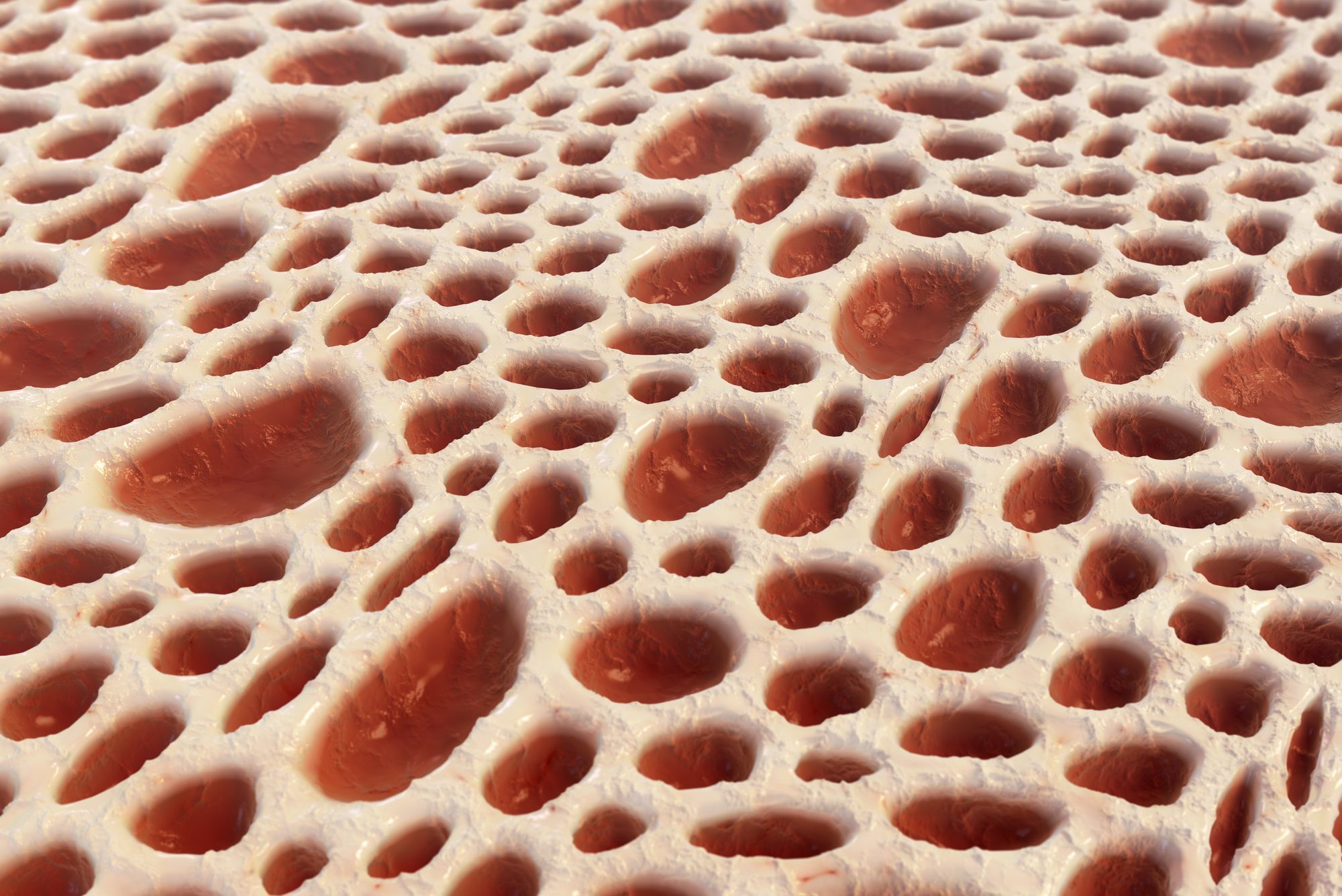 Bone tissue structure