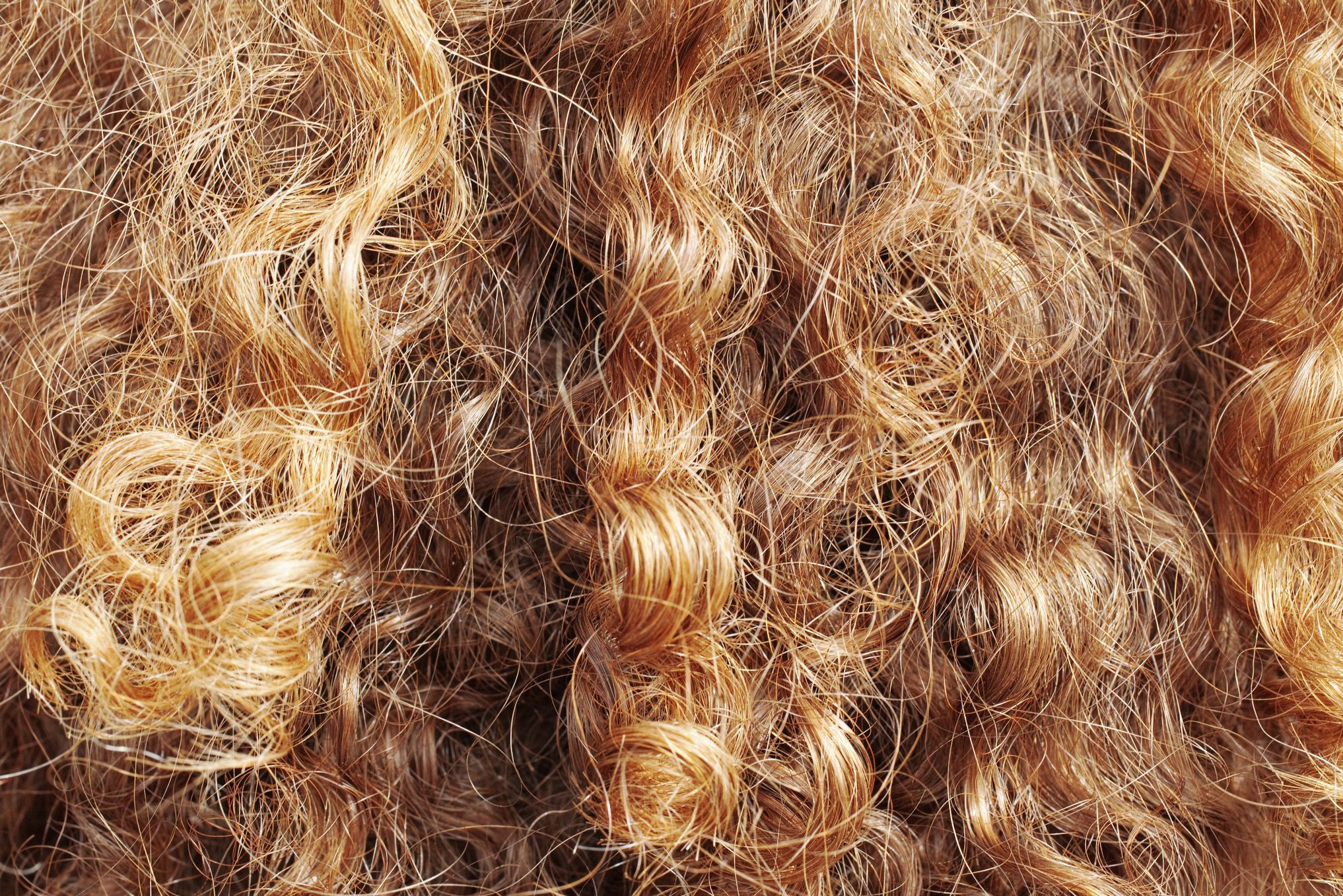 Woman's bright red locks of hair from behind