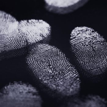 Finger Prints