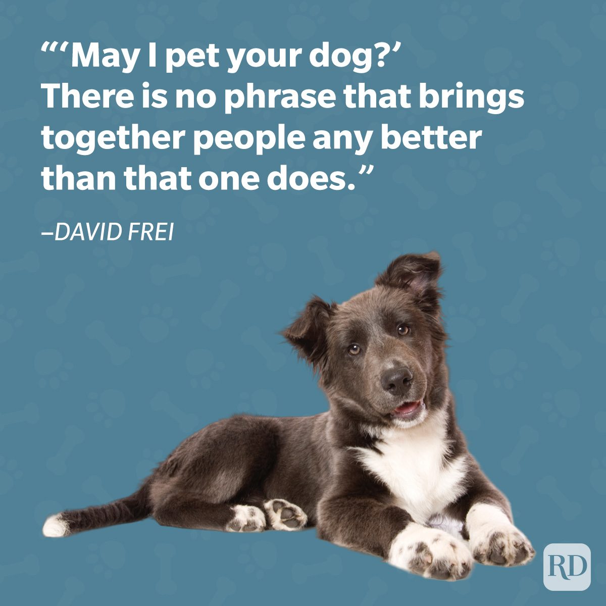 David Frei Dog Quote