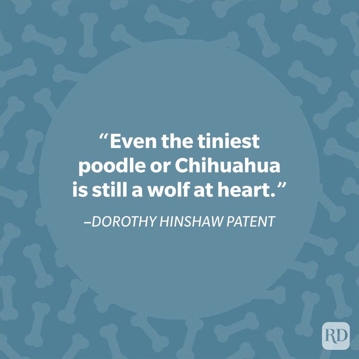 40 Paw Some Dog Quotes To Celebrate Our Furry Friends Dorothy Hinshaw Dog Quote Graphic