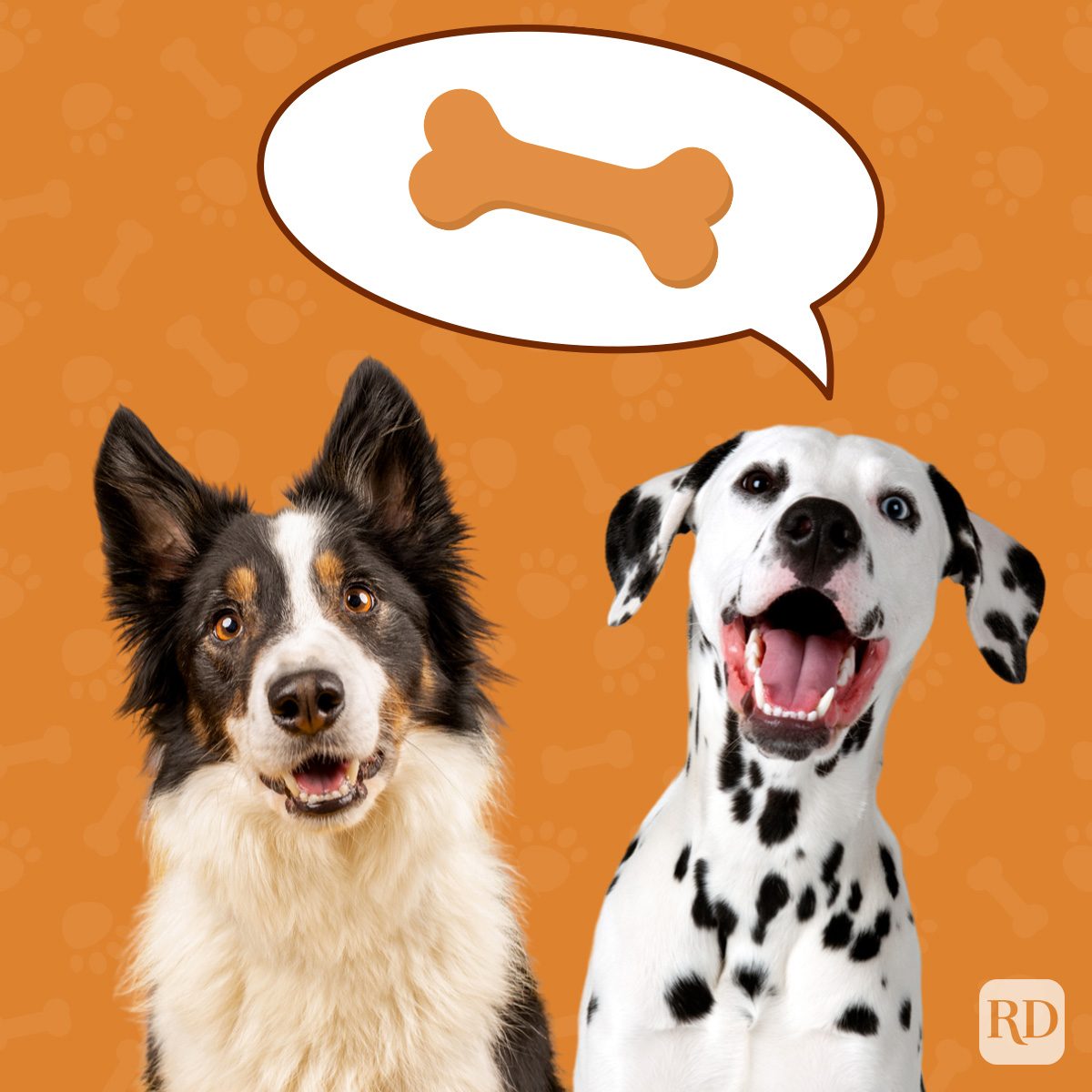 40 Paw Some Dog Quotes To Celebrate Our Furry Friends Ft