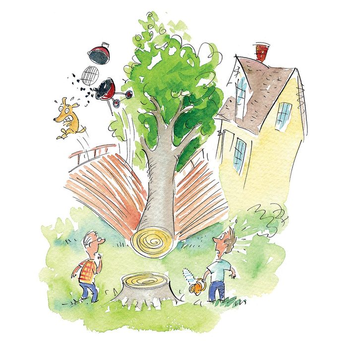 Hilarious Diy Disasters You'll Be Glad Didn't Happen To You Timber!