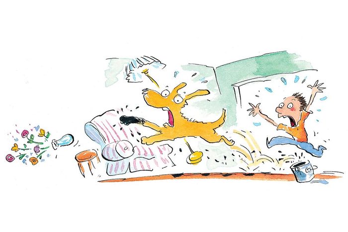 Hilarious Diy Disasters You'll Be Glad Didn't Happen To You Puppy Art