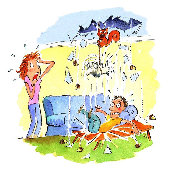 hilarious Diy Disasters You'll Be Glad Didn't Happen To You Canine Capers