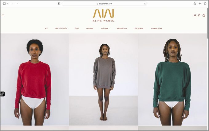 Aliya Wanek Ecomm Via Aliyawanek.com