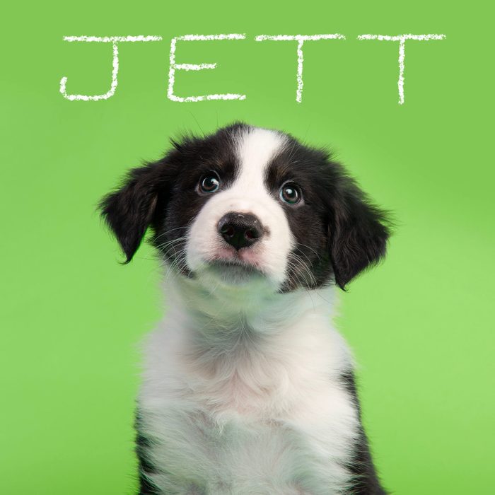 Best Puppy Names Of 2024 3 Cute Gettyimages 1307380922