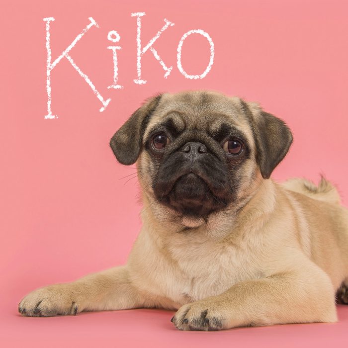 Best Puppy Names Of 2024 4 Short Gettyimages 1267339124