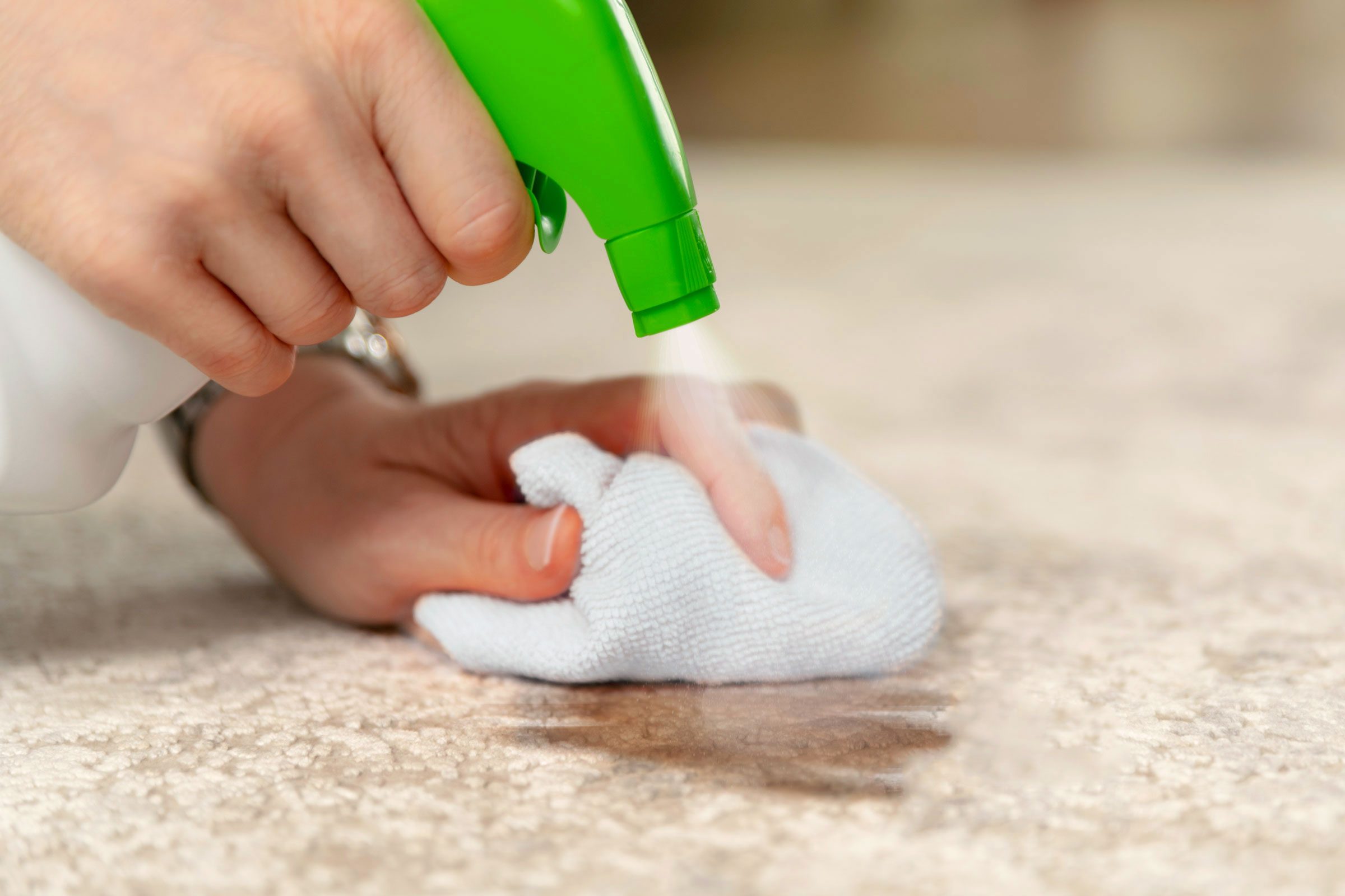 spraying pet cleaner onto the carpet stain