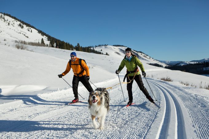 A couple and there dog skijoring in the western United States.
