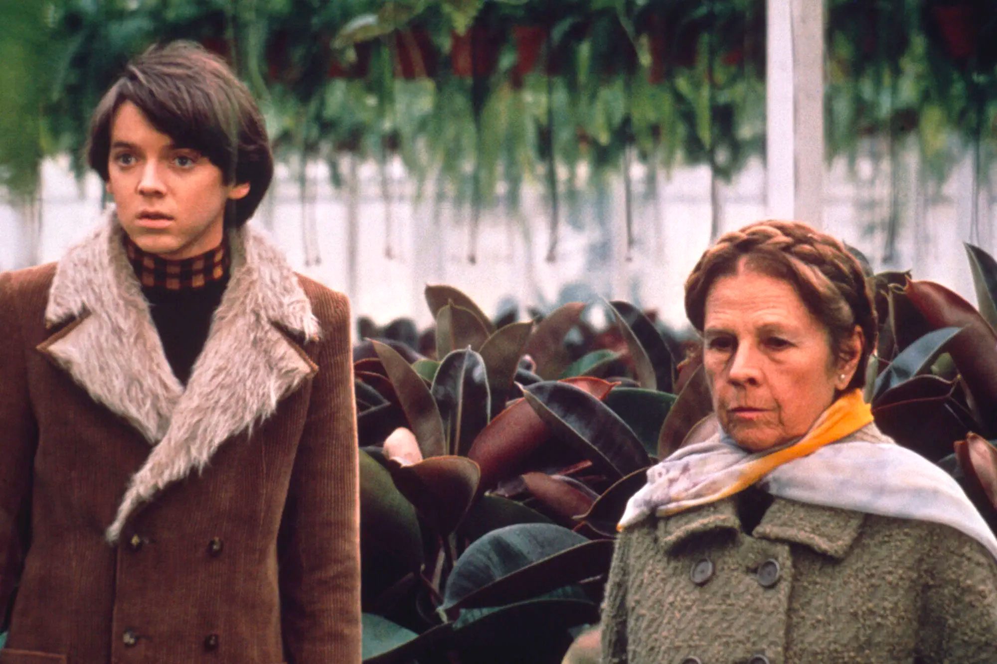 Harold And Maude