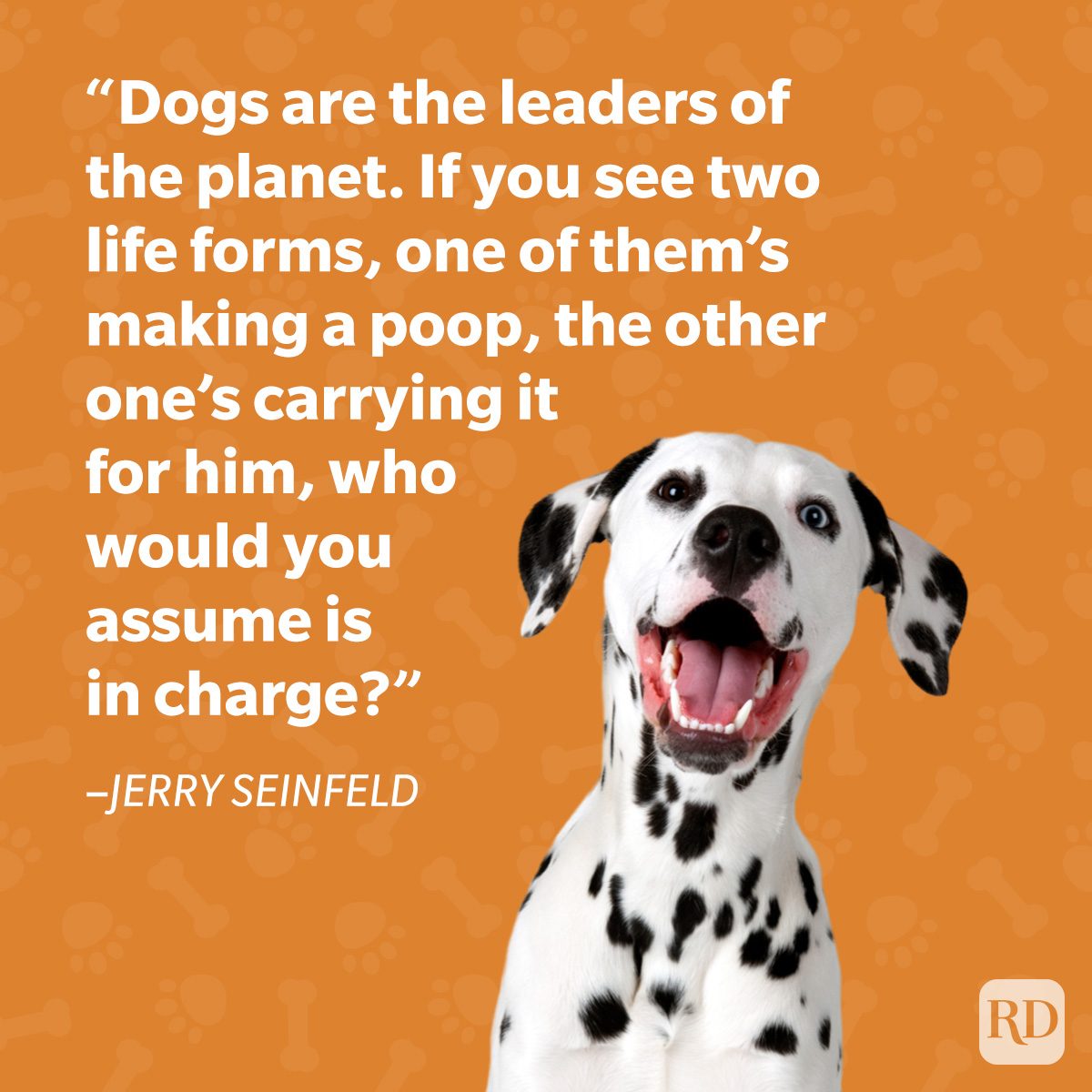 Jerry Seinfeld Dog Quote