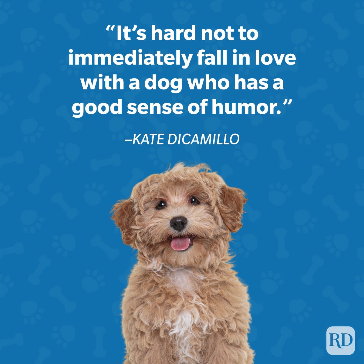 Kate Dicamillo Dog Quote Graphic