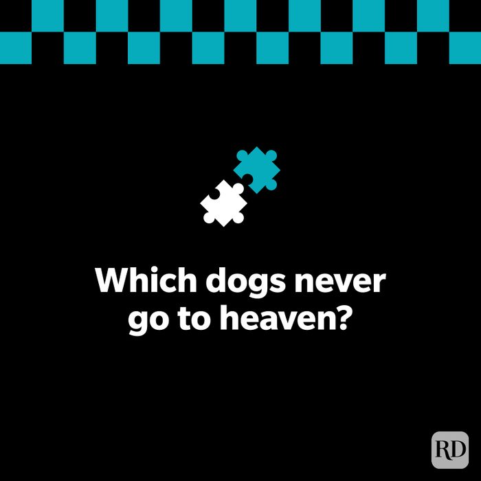 27 Dark Riddles That Challenge Your Morbid Curiosity 19 Graphic