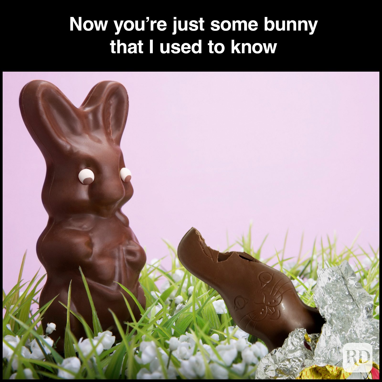 45 Hilarious Easter Memes That Will Make Any Bunny Laugh Strangers Graphic