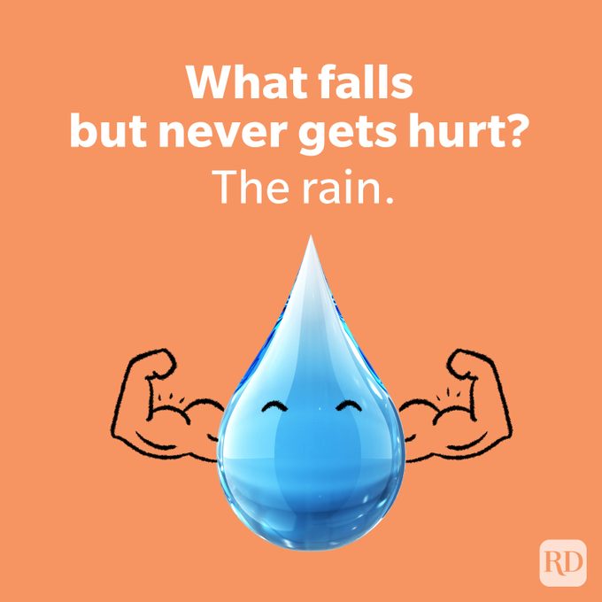 85 Spring Jokes That Will Get The Laughs Blooming Spring Weather Jokes