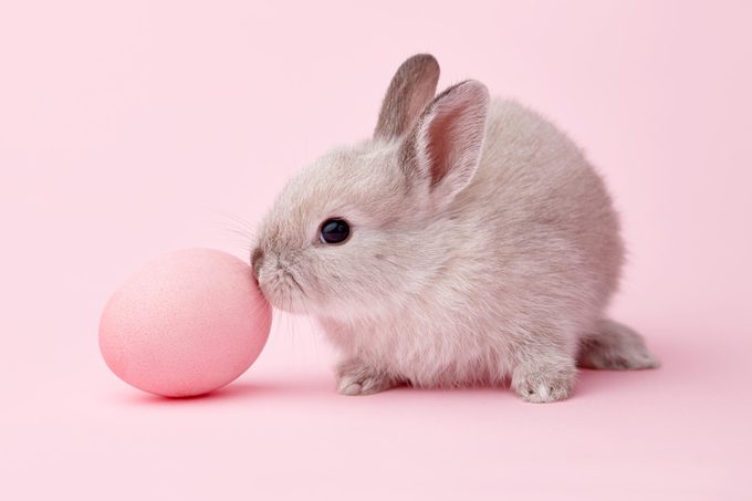 Gettyimages 1125755563 Light Pink Easter Colors Jvedit