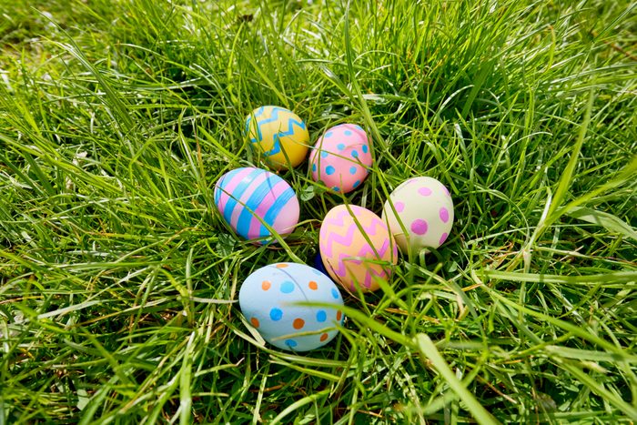 High angle view of colorful easter eggs on a meadow
