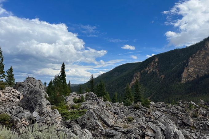 A beautiful landsacpe view of yellowstone national park