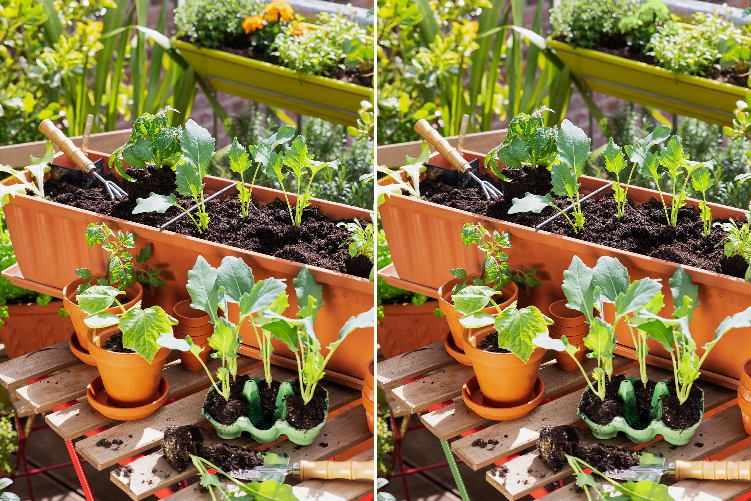 Spot The Difference 17 Gettyimages 1450561018