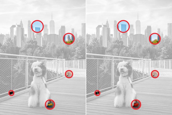 Spot The Difference 18 Gettyimages 1732045719 Key