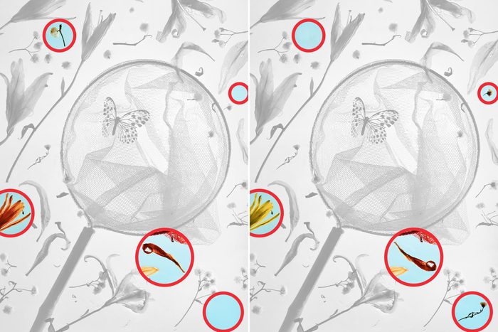 Spot The Difference 20 Gettyimages 1928387283 Key