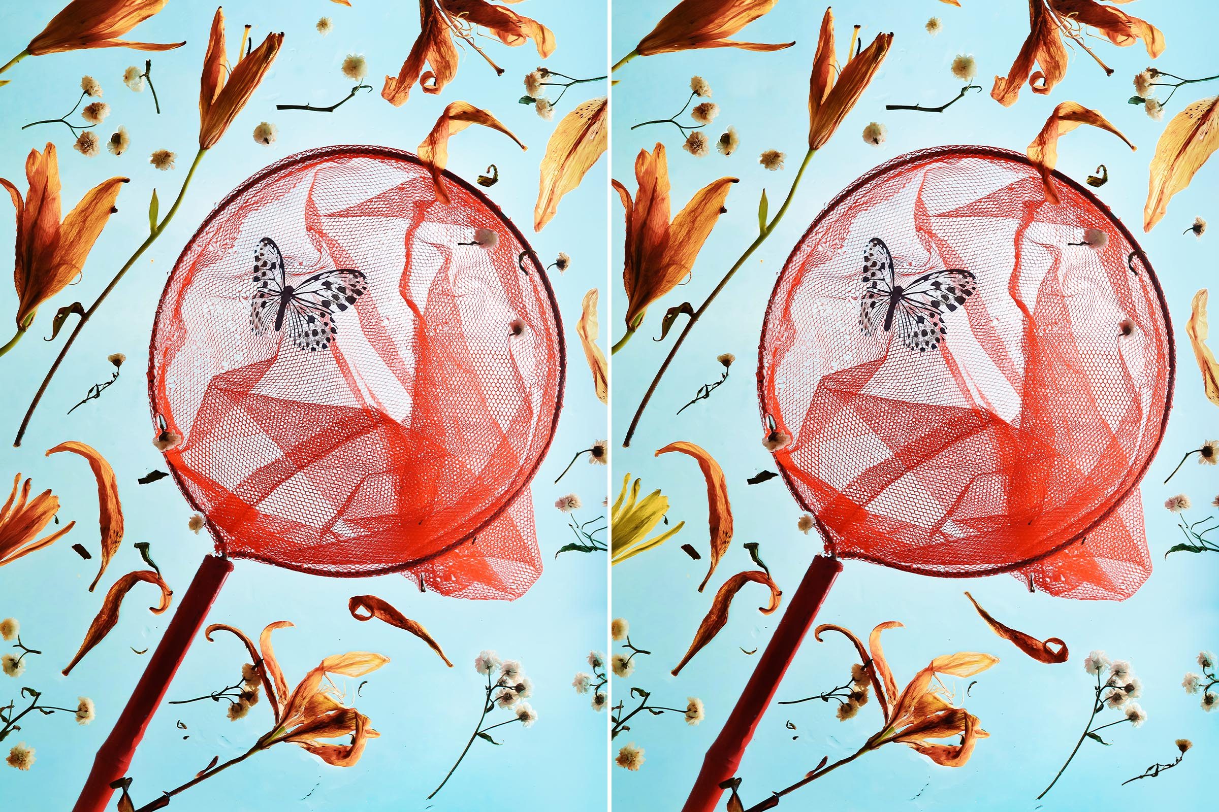 Spot The Difference 20 Gettyimages 1928387283