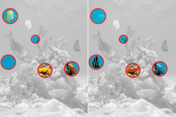 Spot The Difference 6 Gettyimages 862620948 Key