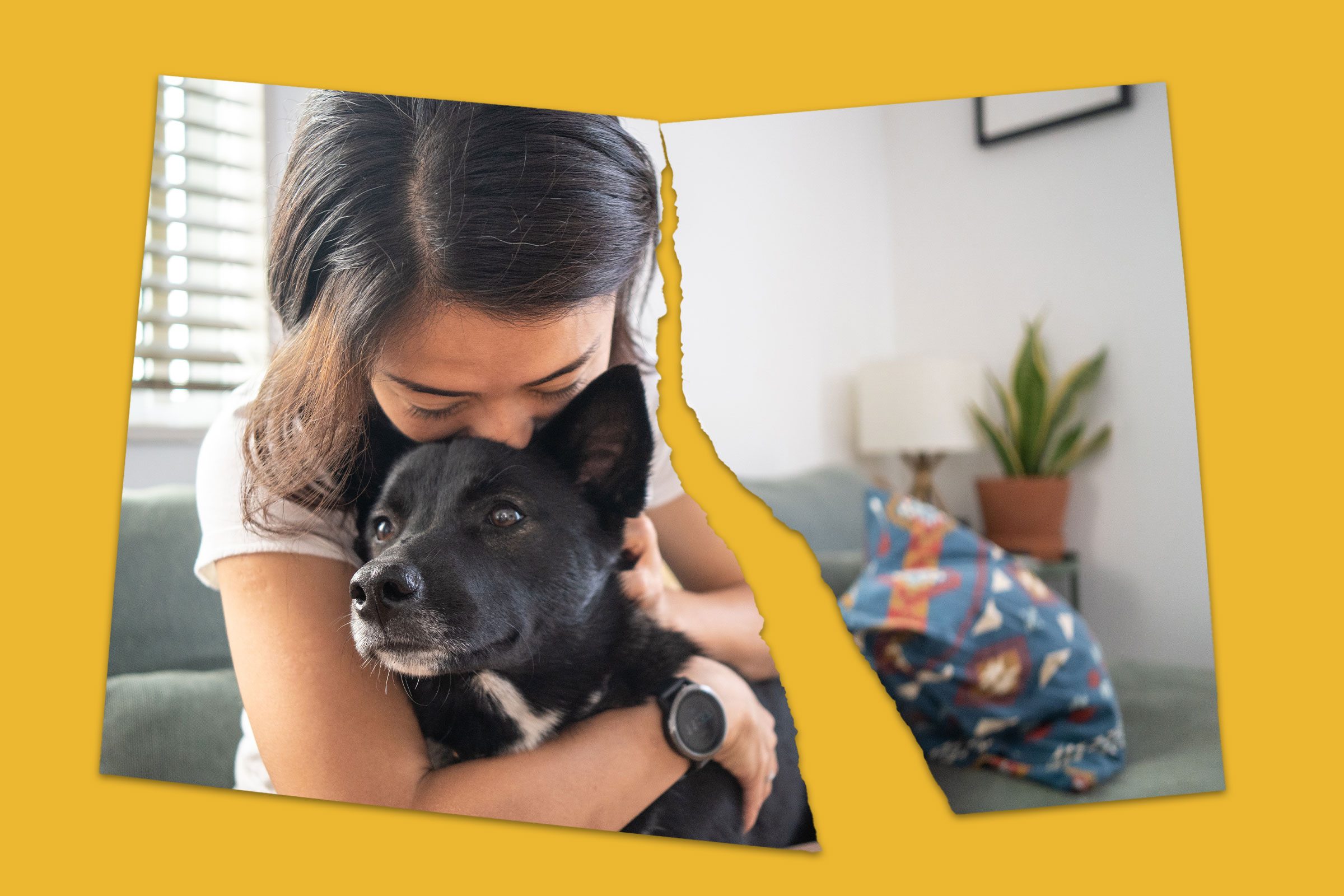 31 Relationship Deal Breakers For Men C Love Animals Gettyimages 1249478968