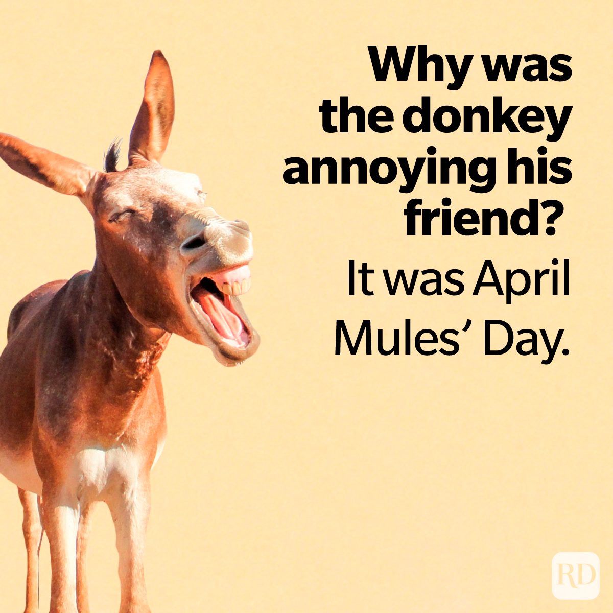 April Fools Day Jokes To Make Everyone Laugh on yellow background