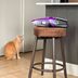 Our Editors Tested the 9 Best Vacuums for Pets to Truly Eliminate Hair and Allergens