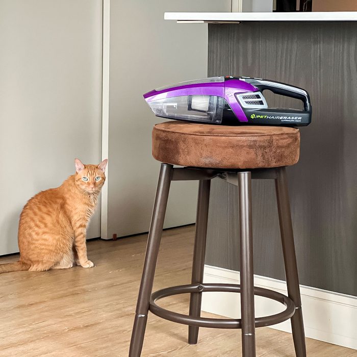 Bissell Pet Hair Eraser