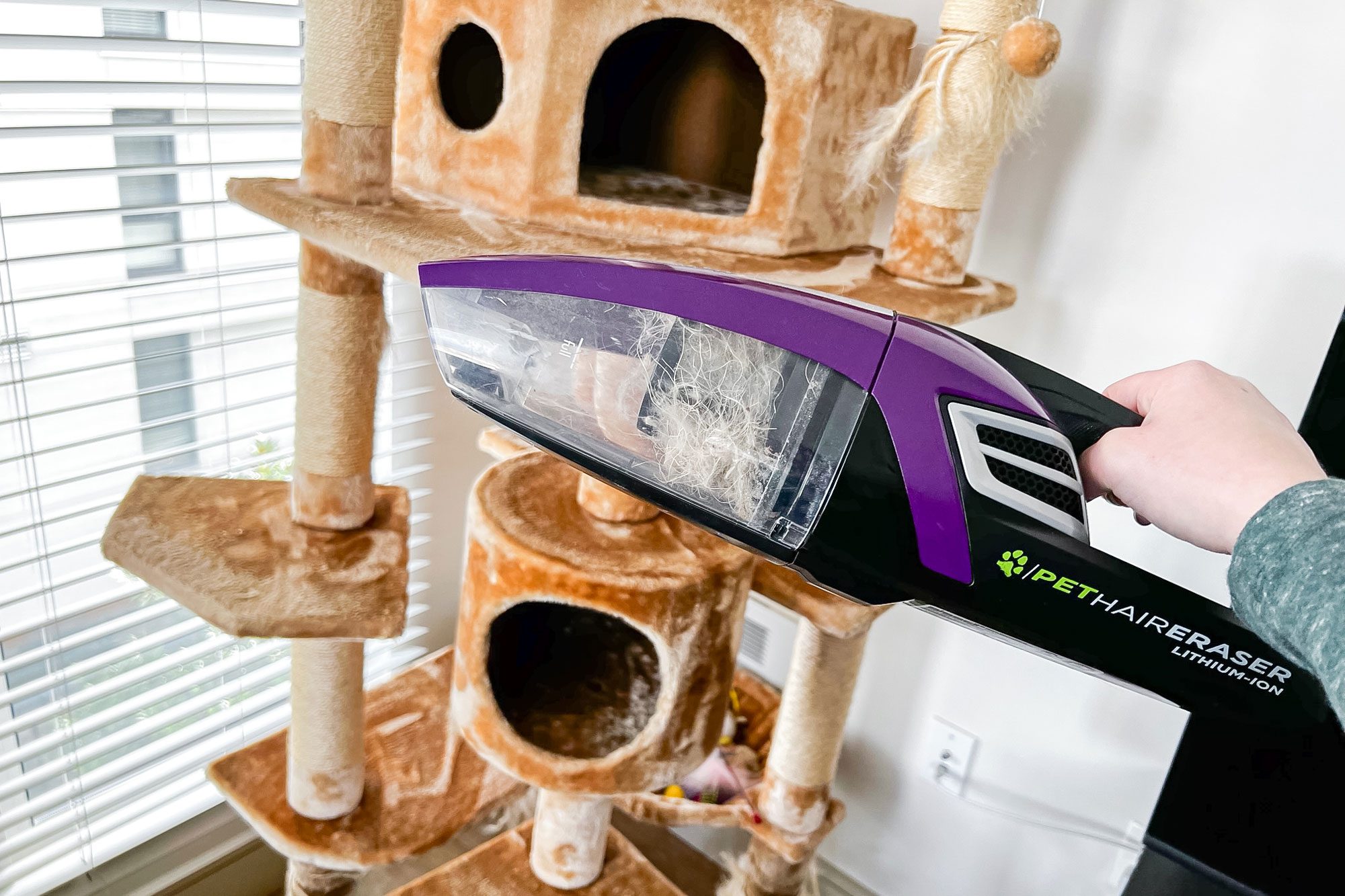 Bissell Pet Hair Eraser