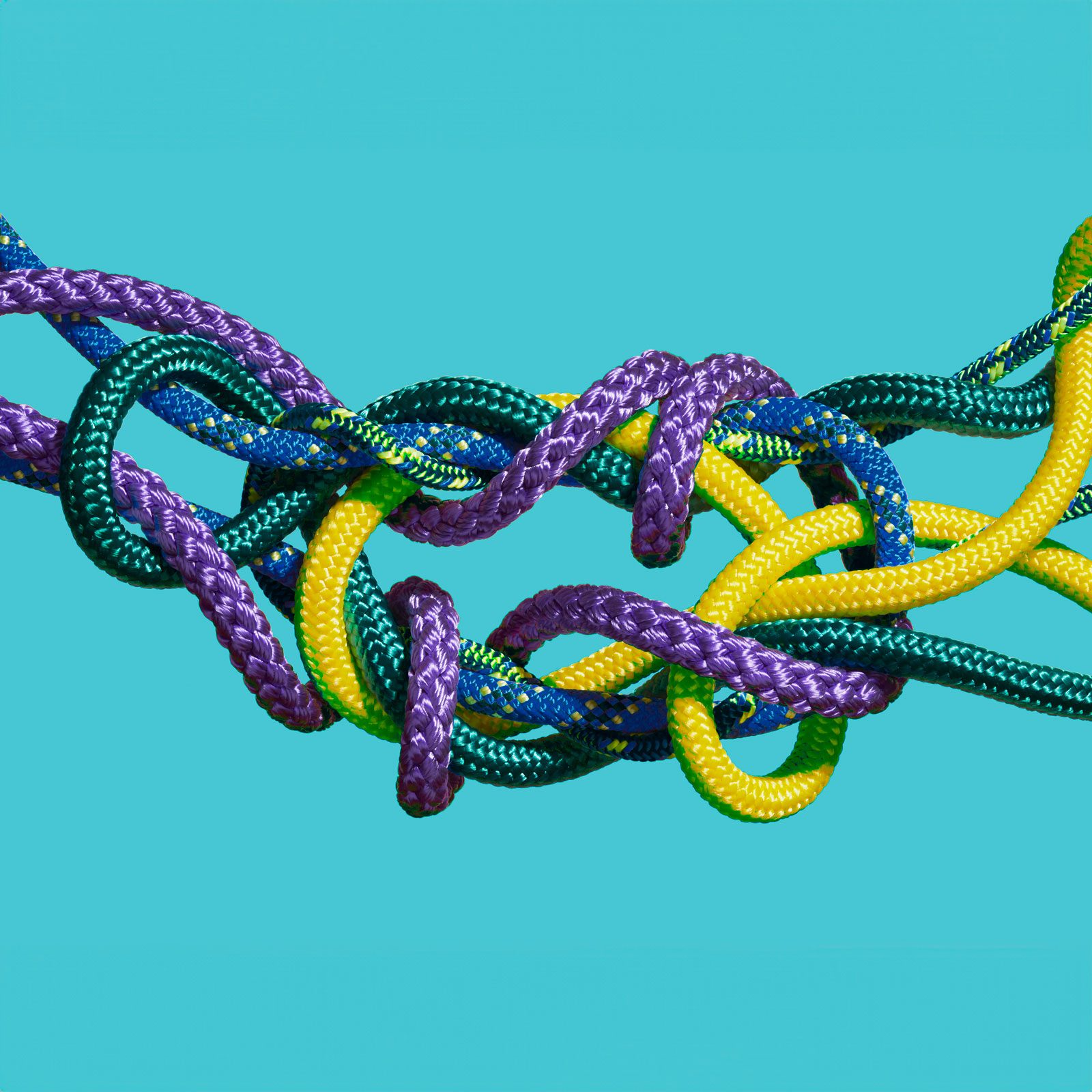 tangled ropes on a blue background