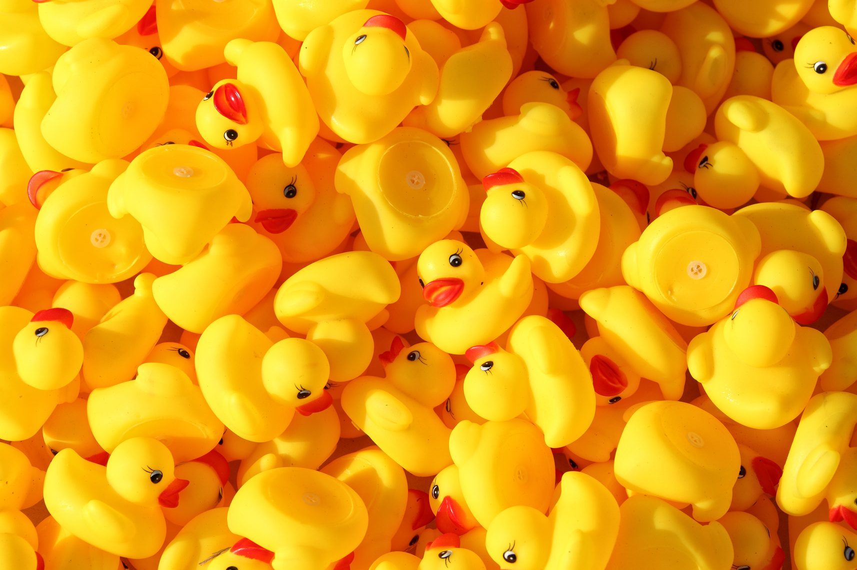 large group of yellow rubber toy ducks