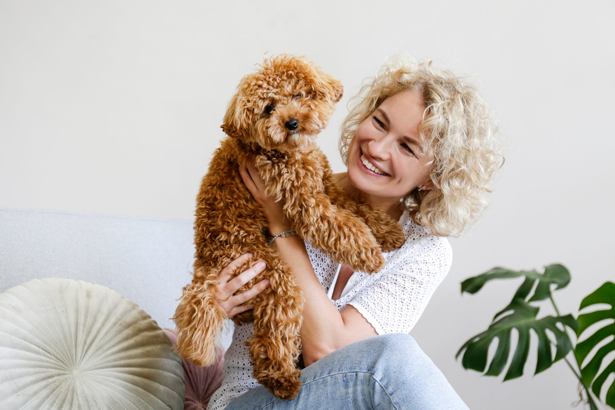 Woman in knitted sweater with her maltipoo poodle.