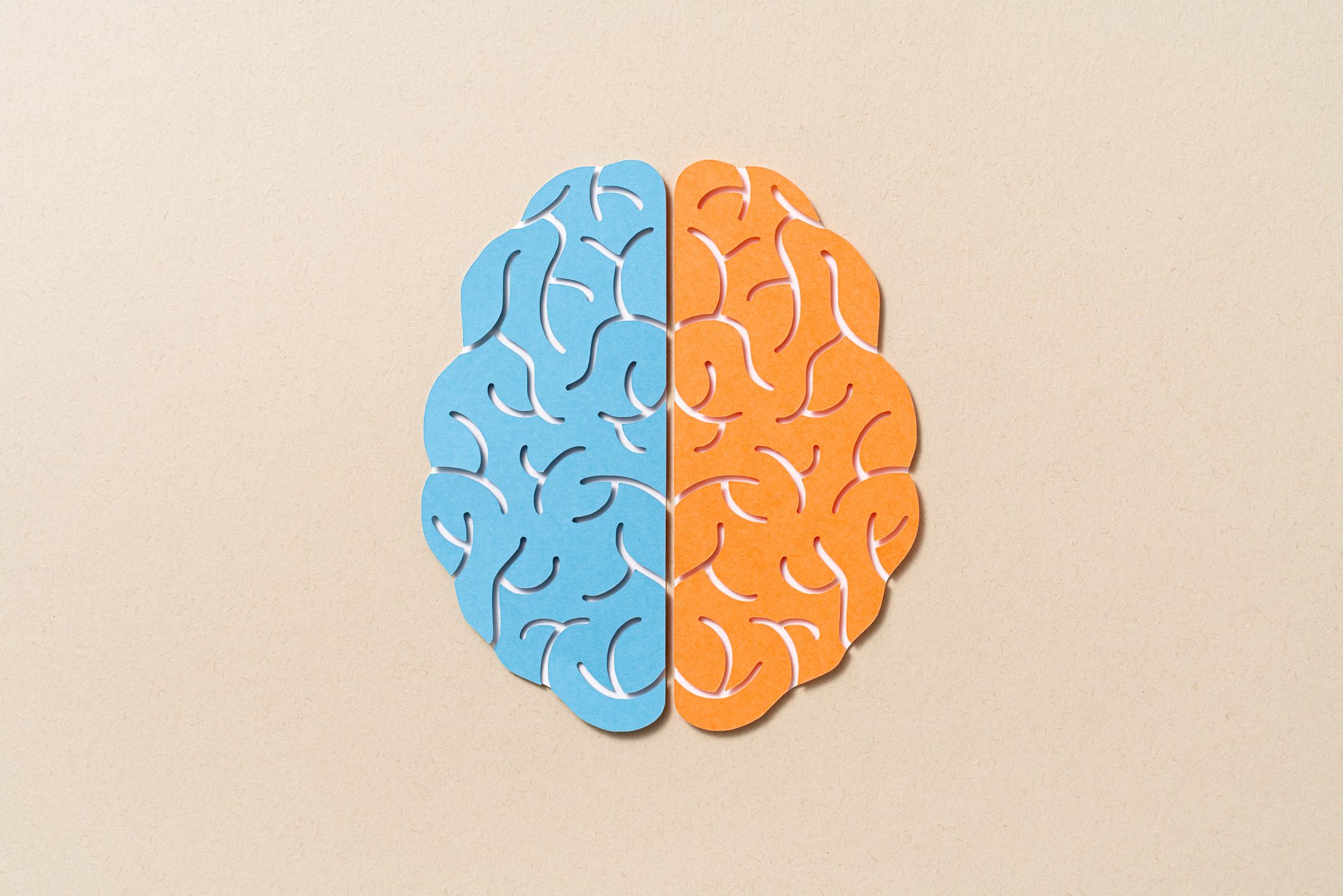 Left Brain Vs. Right Brain Paper Cut Craft